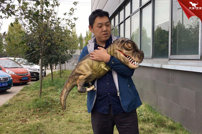 恐龍手偶，抱在手里的恐龍